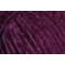 Dolphin Star 92128