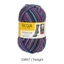 Design Line 3867  twilight color 100g zoknifonal